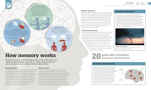 How Psychology Works: The Facts Visually Explained (DK How Stuff Works)