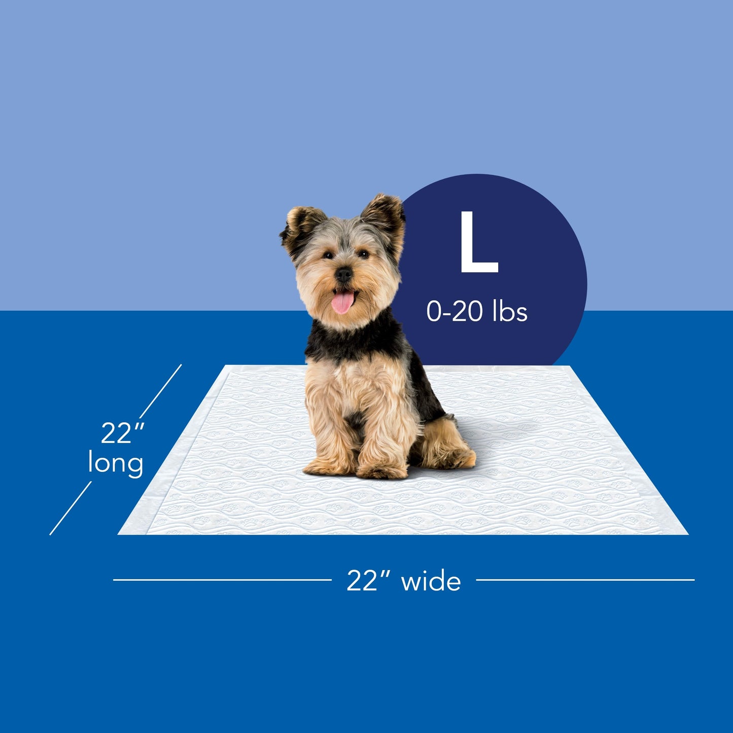 Scott Pet Guard Dog Pads - Large Dog Training Pee Pads, 12 Hour Absorbent Odor Control - 22" x 22" - 50 Pack