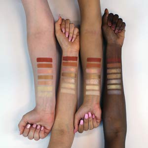 Profusion Cosmetics 21 Shade Eyeshadow Palette for Eyecatching Look, Long lasting and Cruelty Free Bright Pigmented Shades Collection and Brush, Siennas