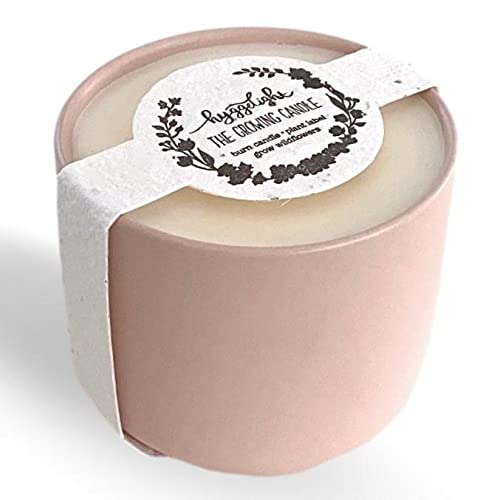 The Growing Candle, from Flame to Flower, Chai Scented, Non-Toxic, 100% Soy Wax, Indoor Wildflower Garden, Aromatherapy Gift for Women, 8oz, 45 Hr Burn Time, Adelyn