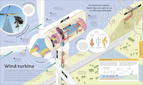 How Everything Works: From Brain Cells to Black Holes