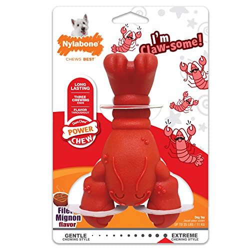 Nylabone Lobster Power Chew Toy for Dogs, Dog Toys for Aggressive Chewers, Filet Mignon Flavor, Small Dogs - Up to 25 Ibs, 1 Count