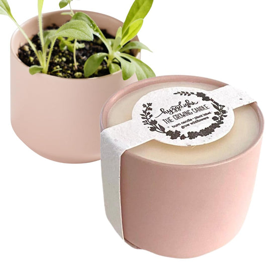 The Growing Candle, from Flame to Flower, Chai Scented, Non-Toxic, 100% Soy Wax, Indoor Wildflower Garden, Aromatherapy Gift for Women, 8oz, 45 Hr Burn Time, Adelyn
