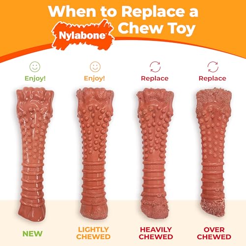 Nylabone Original Bone Power Chew Toy for Dogs, Durable Dog Toys for Aggressive Chewers, Peanut Butter Flavor, Small - Up to 25 Ibs, 3 Pack