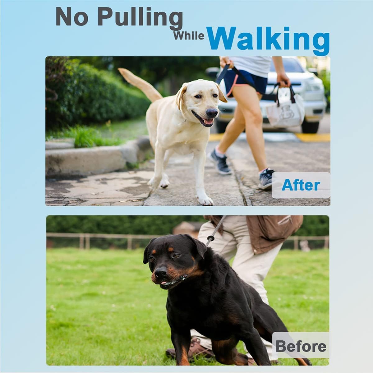 Prong Collar for Dogs, Adjustable Dog Training Collar, Dog Pinch No Pull Collar with Quick Release Buckle for Small Medium Large Dogs(Packed with Two Extra Links)