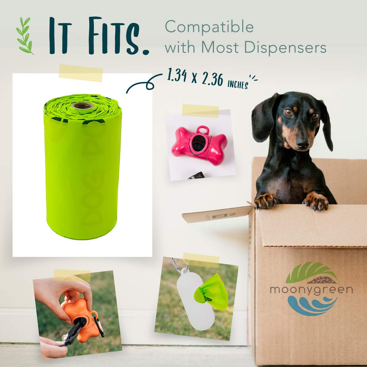 moonygreen Certified Compostable Dog Poop Bag Rolls, Landfill friendly Doggie Poop Bags, Vegetable-Based, ASTM D6400, Unscented, Extra Thick, Leak Proof, Size 9 x 13 Inches, Refills 240 Counts