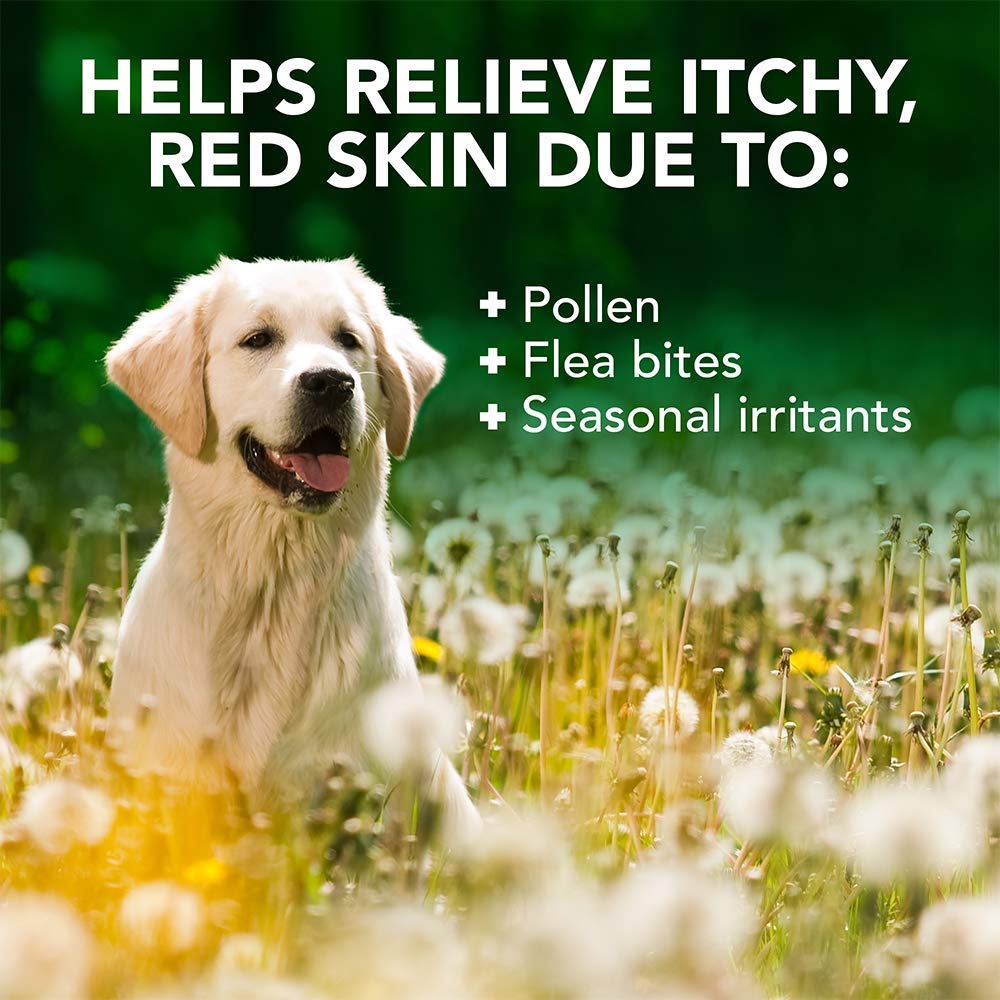 Vet's Best Allergy Relief Dog Shampoo – Oatmeal and Aloe Formula for Itchy Skin and Seasonal Allergies – Soothing Anti-Itch Shampoo for Dogs with Dry, Sensitive Skin – 16 oz