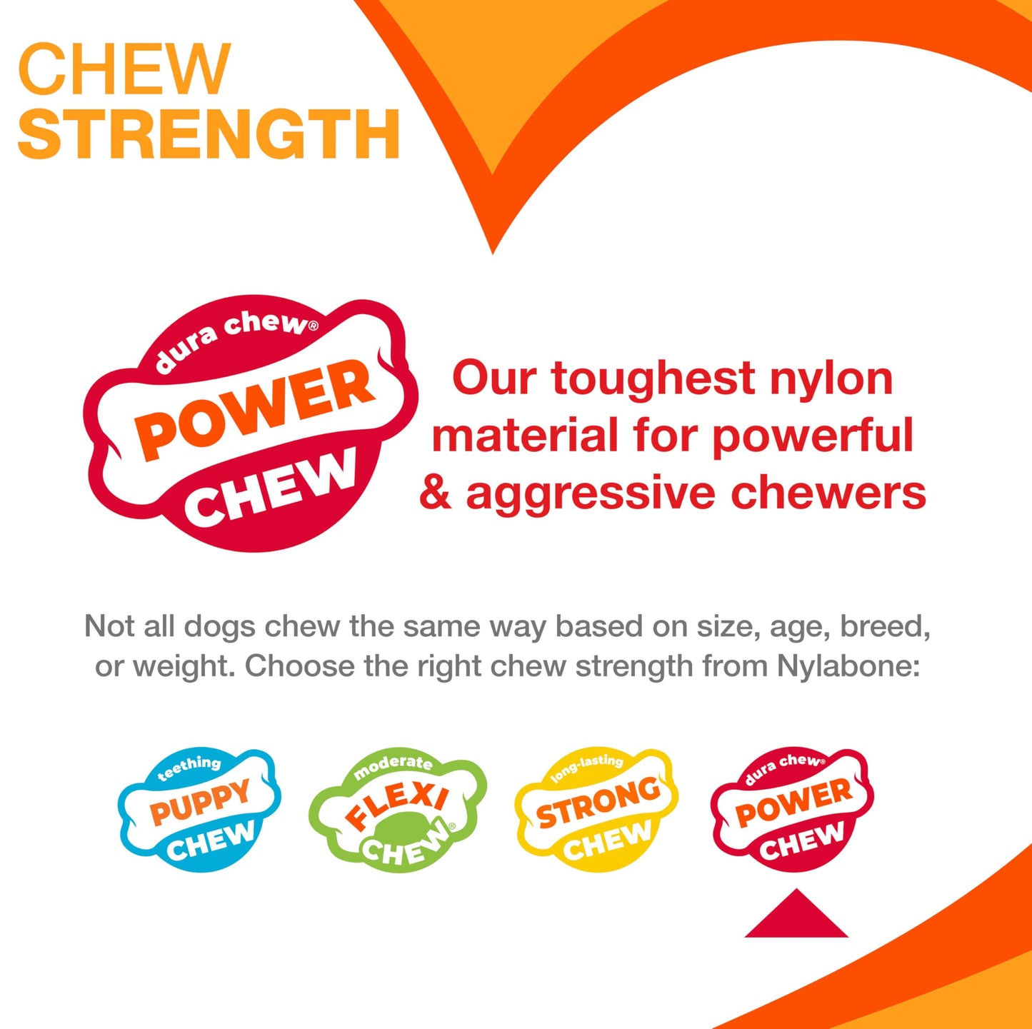Nylabone Textured Ring Power Chew Toy for Small Dogs, Durable Dog Toys for Aggressive Chewers, Strong Dog Chew Bones To Keep Them Busy, Flavor Medley, Small - Up to 25 lbs, 1 Count
