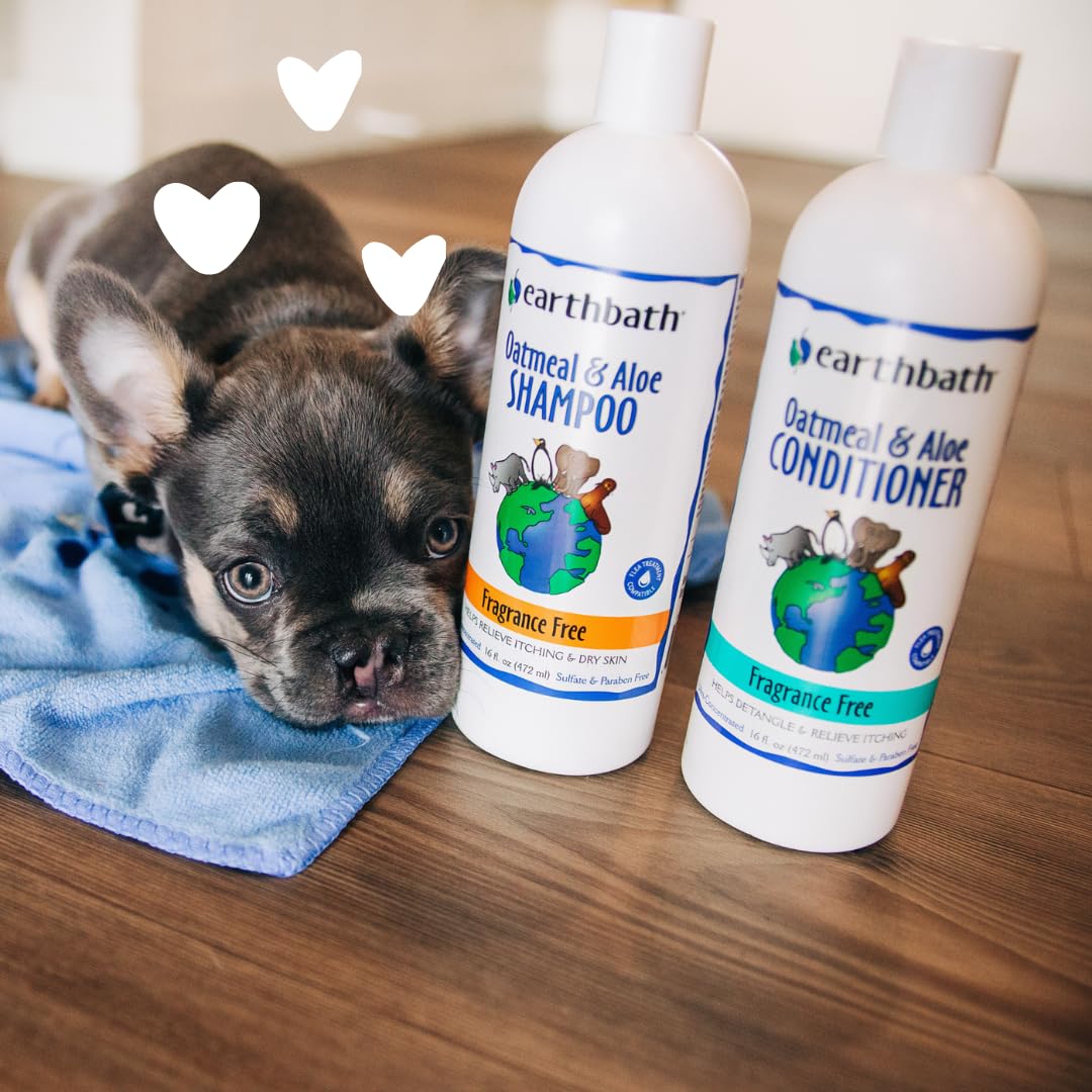earthbath, Oatmeal & Aloe Dog Shampoo - Oatmeal Shampoo for Dogs, Itchy, Dry Skin Relief, Dog Wash, Made in USA, Cruelty Free, Fragrance Free Pet Shampoos - 16 Oz (1 Pack)