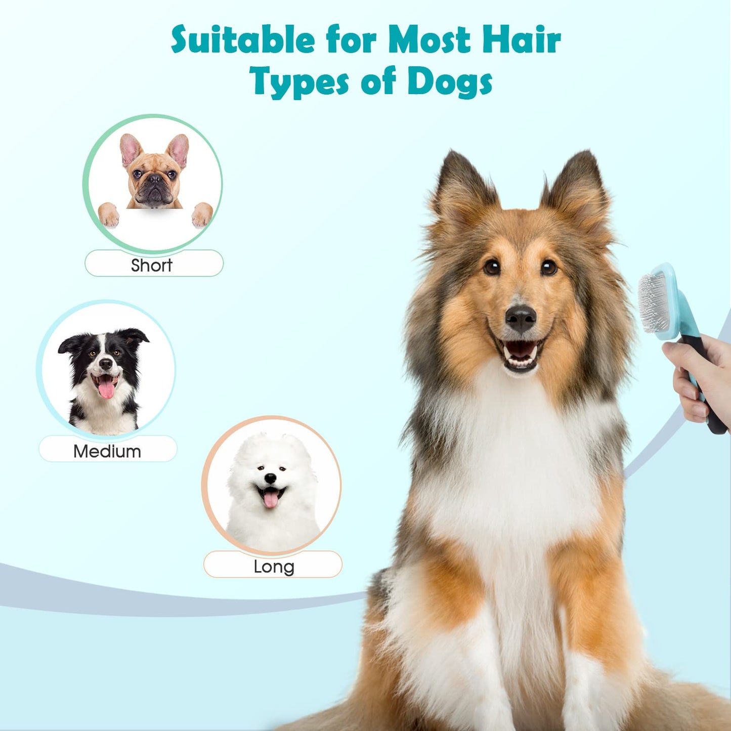 PETPAWJOY Slicker Brush, Dog Brush Gently Cleaning Pin Brush for Shedding Dog Hair Brush for Small Dogs Puppy Yorkie Poodle Rabbits Cats