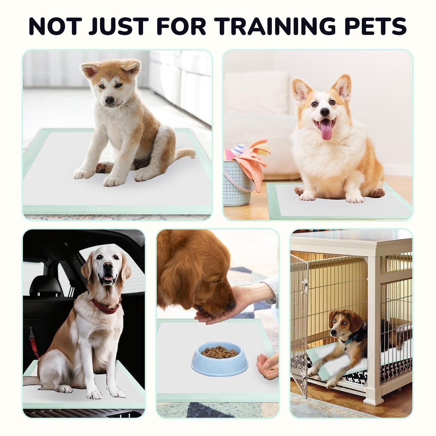 80PCS Pet Training and Puppy Pads - 24"x24" Disposable Waterproof Puppy Pee Pads - Maximum Absorption and Protection