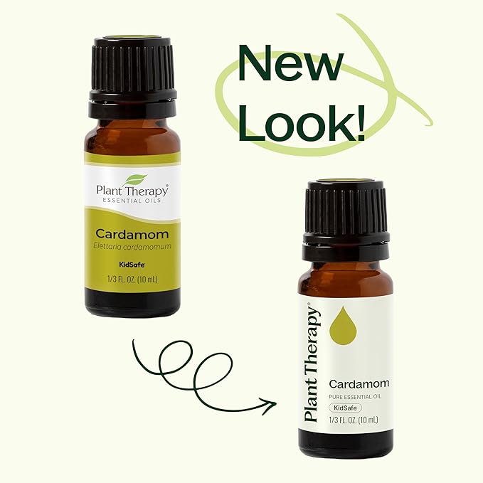 Plant Therapy Cardamom Essential Oil 5 mL (1/6 oz) 100% Pure, Undiluted, Therapeutic Grade