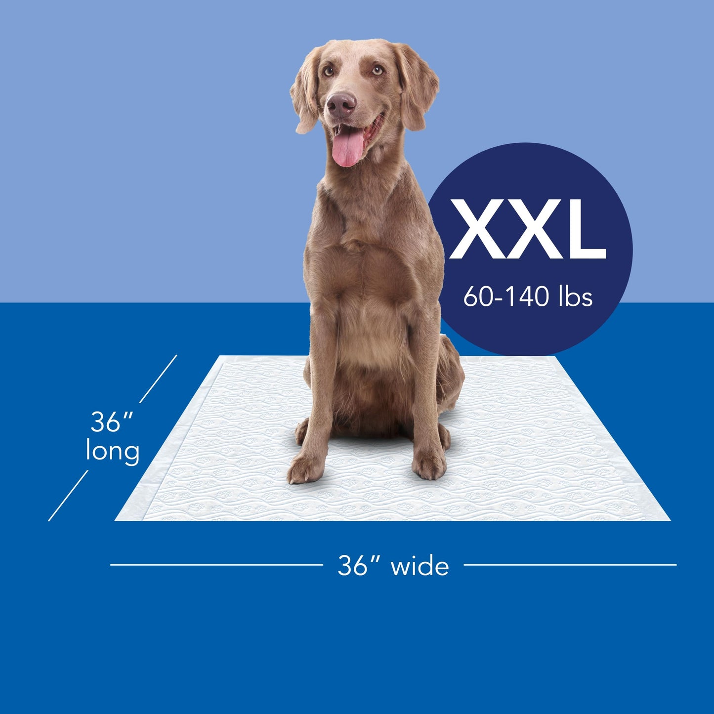 Scott Pet Guard Dog Pads - Extra Large Dog Training Pee Pads - Up to 12 Hour Absorbent Odor Control - Disposable - XXL - 36" x 36" - 40 Pack