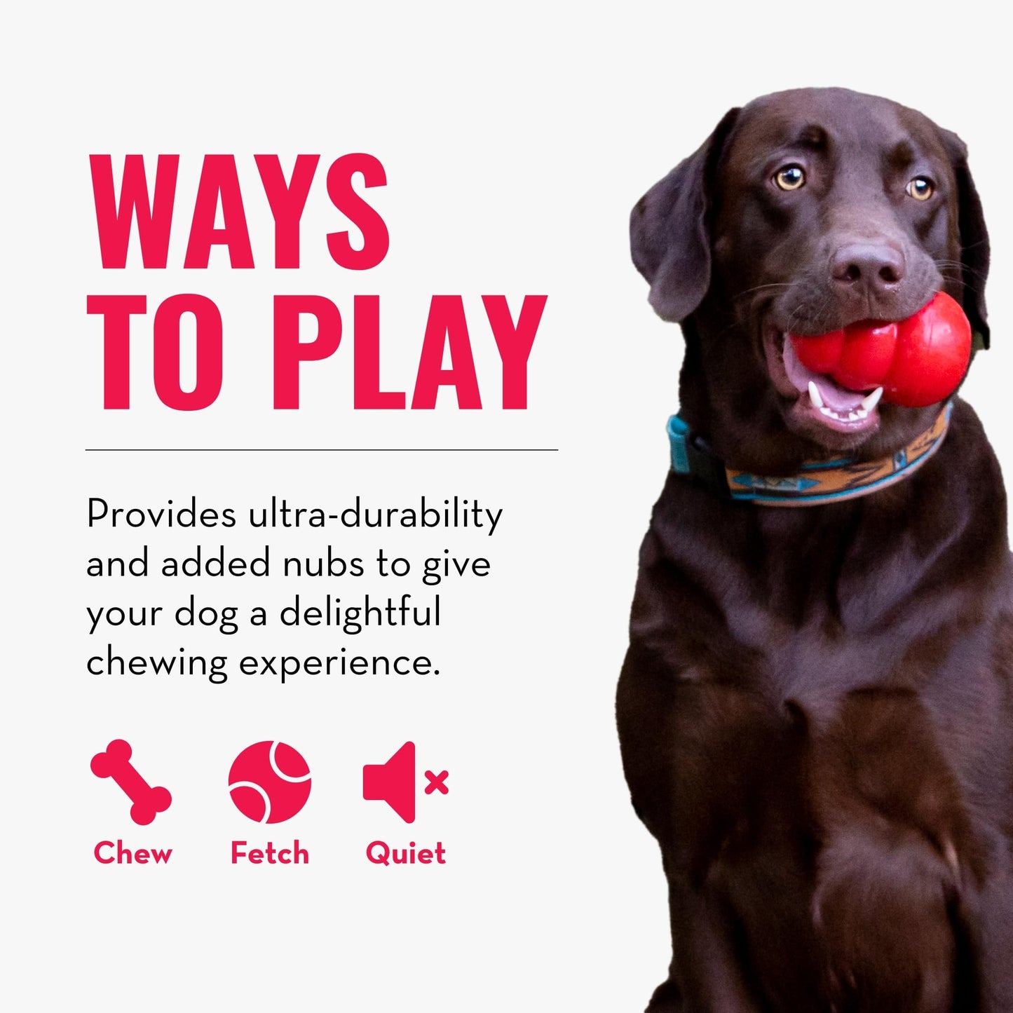 KONG Ring - Natural Rubber Ring Toy for Healthy Chewing Habits - Chew Toy Supports Dog Dental Health - Dog Toy Supports Instincts During Playtime - for Small/Medium Dogs