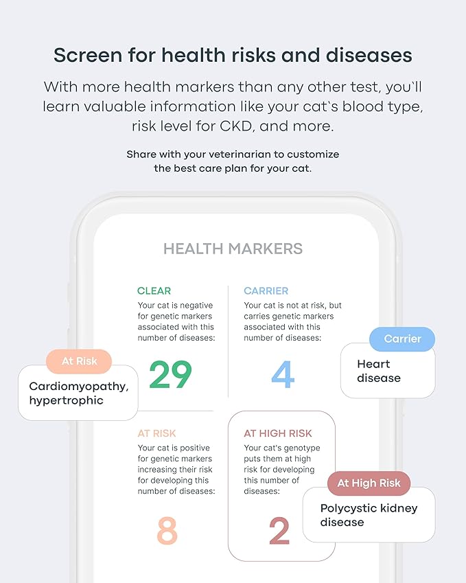 Basepaws Cat Dental Health Test | Provides Risk Scores for Oral Conditions: Periodontal Disease, Bad Breath, Tooth Resorption | Report Includes Personalized Care Recommendations