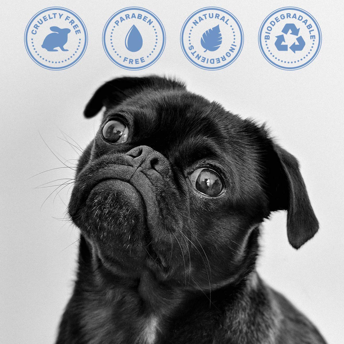 OLIVER'S CHOICE Dog Shampoo with Oatmeal, Aloe & Shea Butter – Deodorizing Puppy Shampoo for Smelly Dogs, Itchy Skin Relief, Paraben-Free, Biodegradable, Cruelty Free – 12 fl. oz