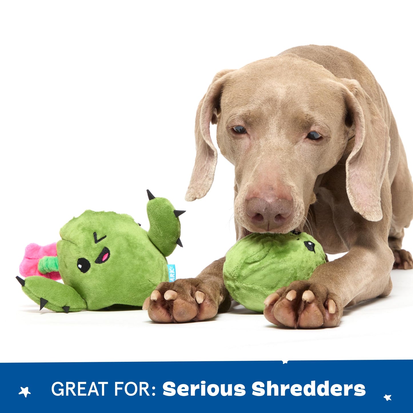 Barkbox 2 in 1 Interactive Plush Dog Toy - Rip and Reveal Toy for Dogs and Puppies - Stimulating Squeaky Pet Toys | Consuela Cactus (Large)