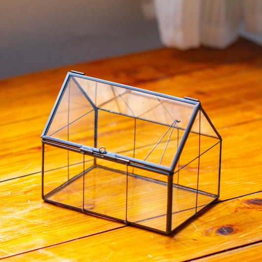 NCYP Mini Glass Terrarium with Lid - 6.1" x 4.25" x 4.92" House Shape Closed Planter Pot for Small Cactus, Succulents Plant - Home Garden Office Tabletop Geometric Decor, Black (Terrarium Only)
