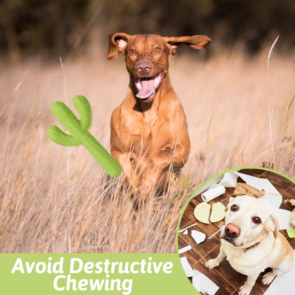MewaJump Dog Chew Toys for Aggressive Chewers, Durable Rubber Cactus Tough Toys for Training and Cleaning Teeth, Interactive Dog Toys for Small/Medium Dog