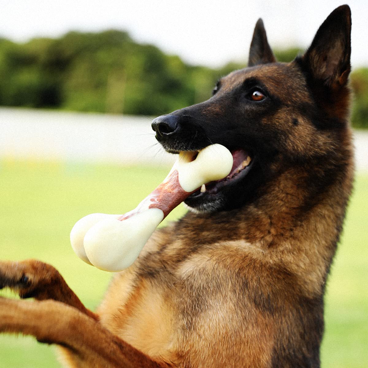 Tikaton Indestructible Dog Chew Toys for Aggressive Chewers, Beef Flavor Durable Dog Teething Chew Toys Bones for Large/Medium/Small Puppies