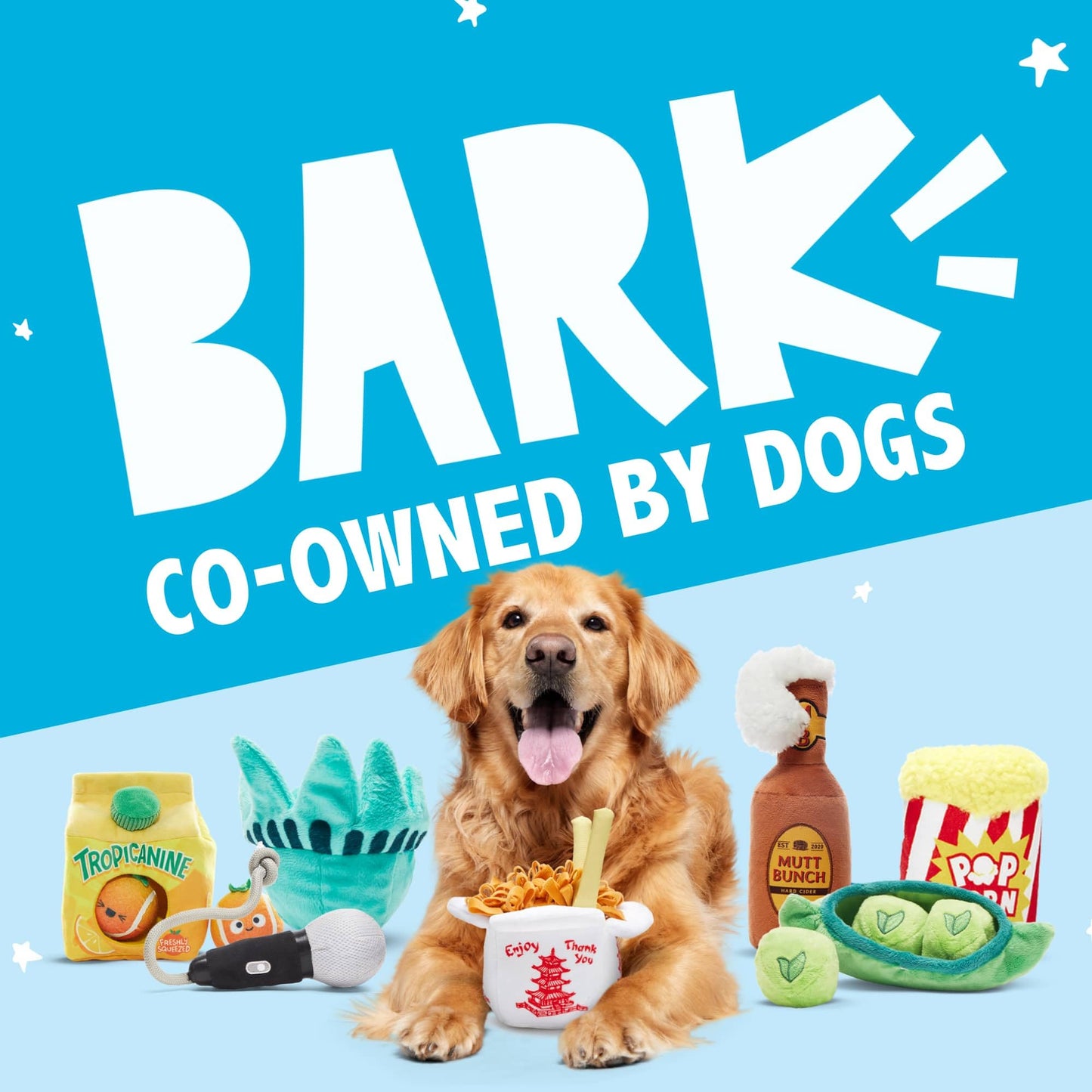 Barkbox 2 in 1 Interactive Plush Dog Toy - Rip and Reveal Toy for Dogs and Puppies - Stimulating Squeaky Pet Toys | Consuela Cactus (Large)