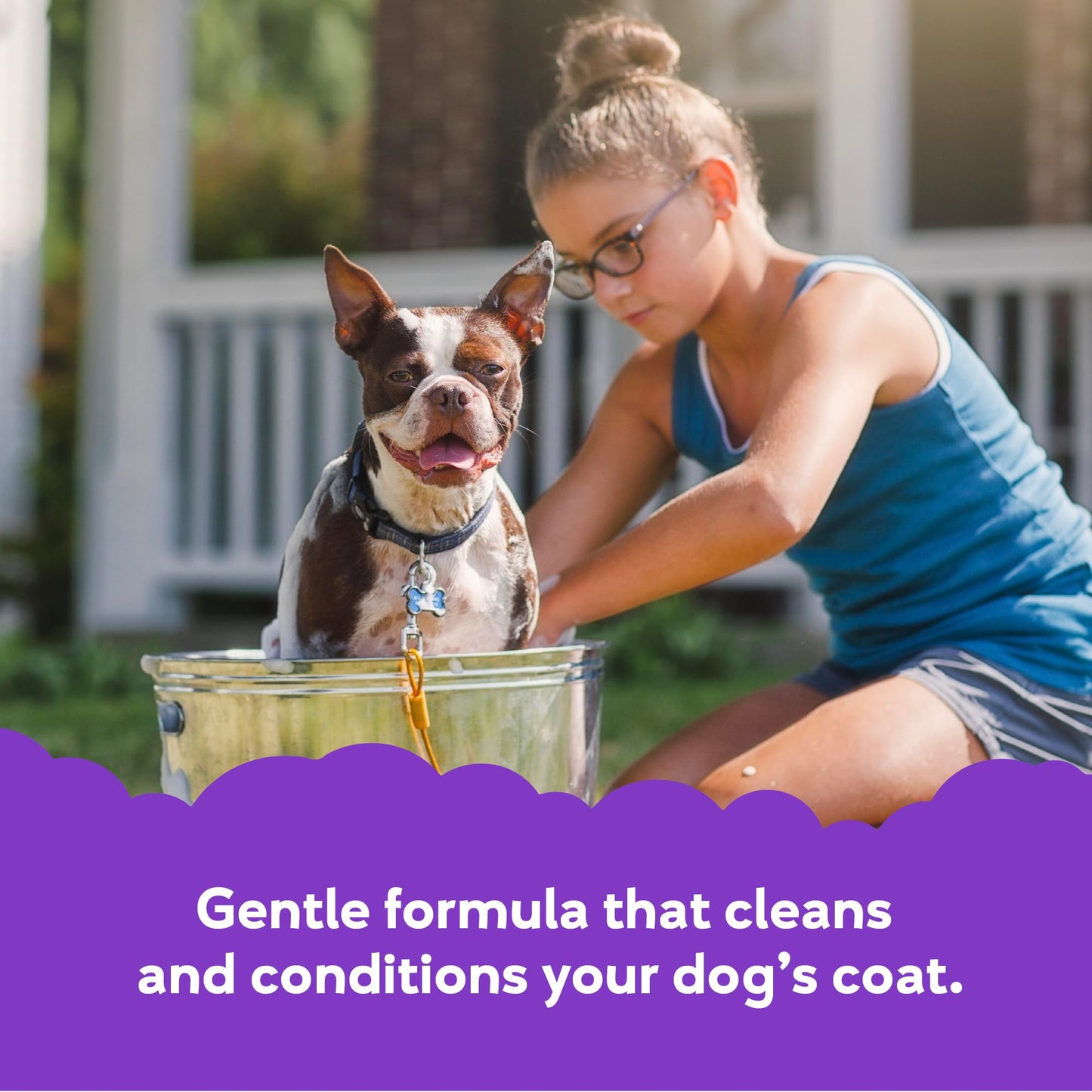 Buddy Grooming Wash 2 in 1 Dog Shampoo, Lavender & Mint, 16 oz. Bottle