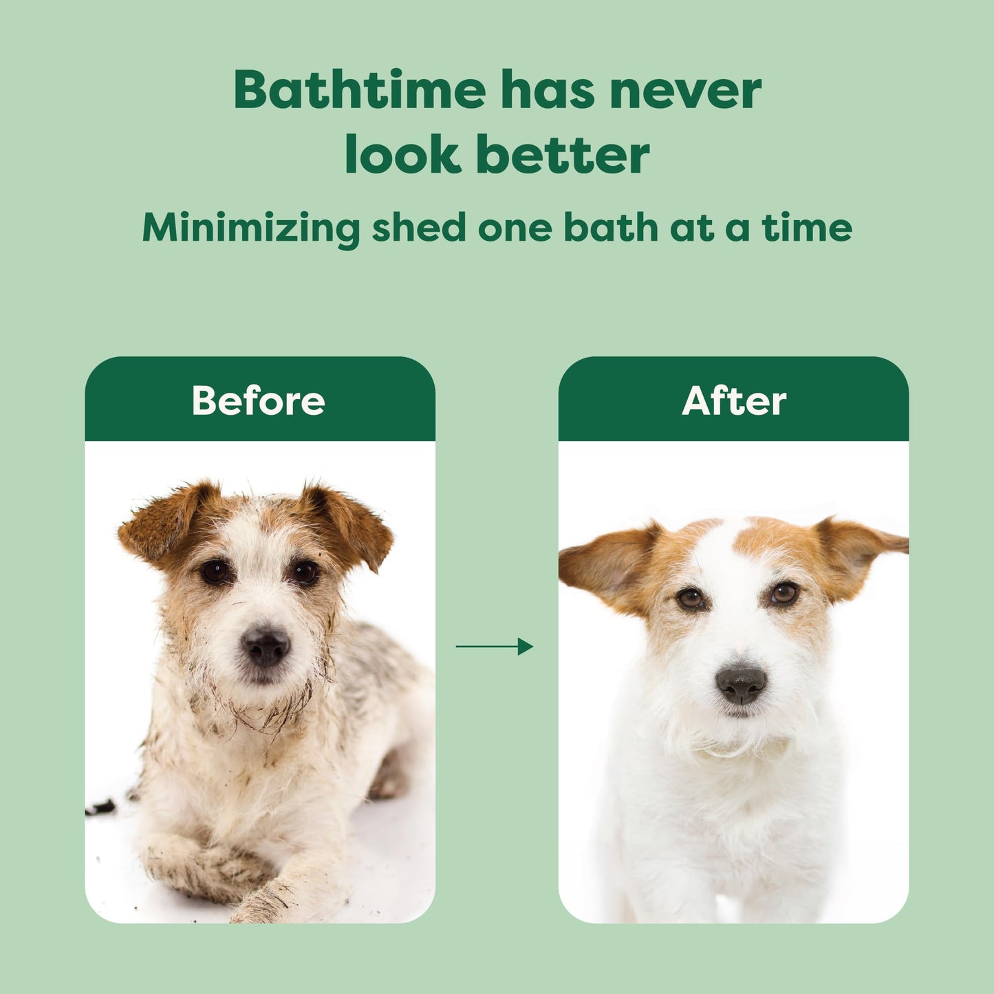 Earth Rated 3-in-1 Deshedding Dog Shampoo and Conditioner, Deodorizing Oatmeal Shampoos for Dogs and Puppies, Great for Smelly Pets, White Tea and Basil Scent, 16 oz