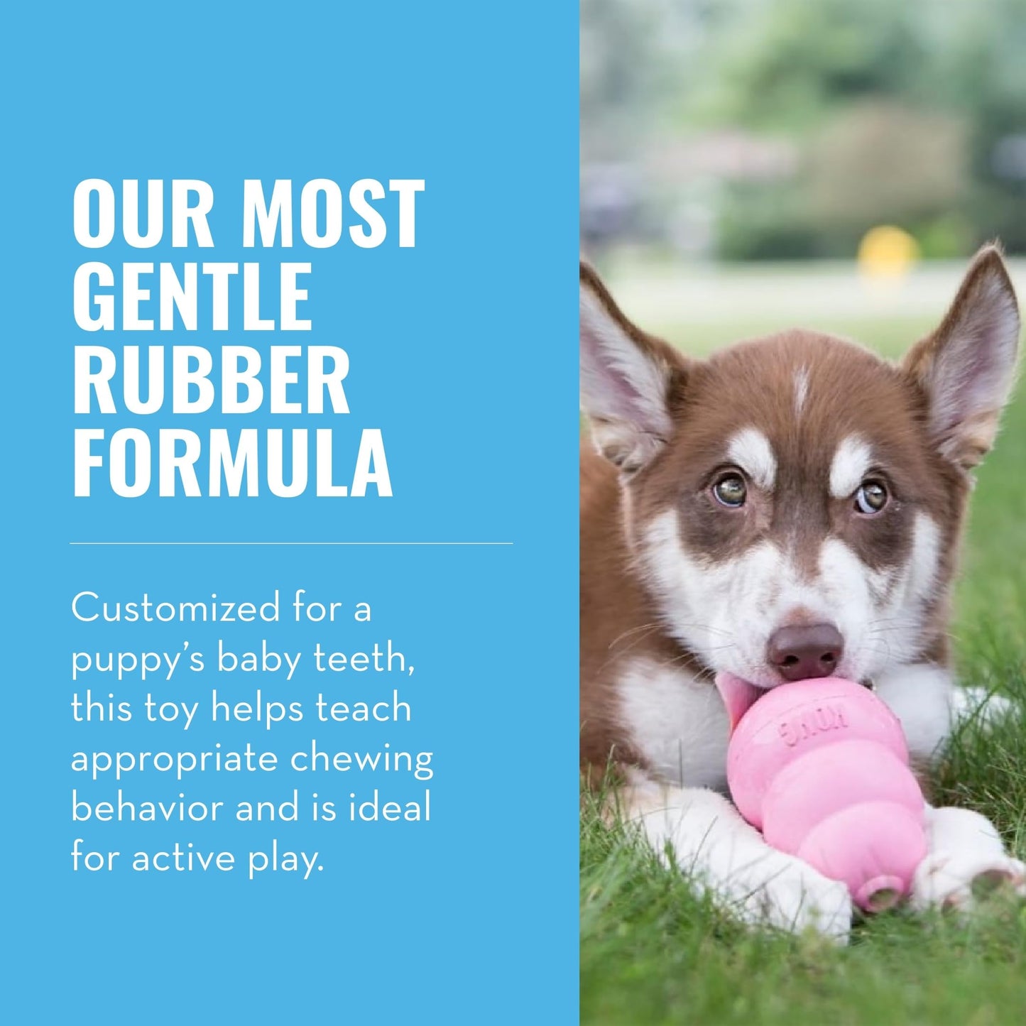 KONG - Puppy Toy Natural Teething Rubber - Fun to Chew, Chase and Fetch - for Small Puppies - Pink