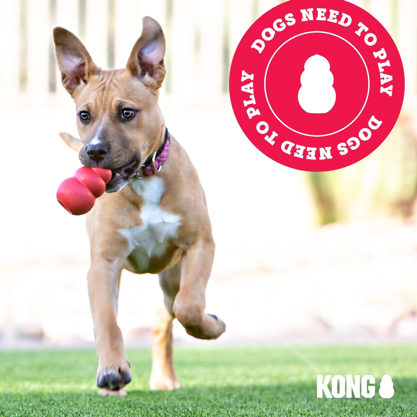 KONG Classic Stuffable Dog Toy - Fetch & Chew Toy for Dogs - Treat-Filling Capabilities & Erratic Bounce for Extended Play Time - Durable Natural Rubber Material - for Small Dogs