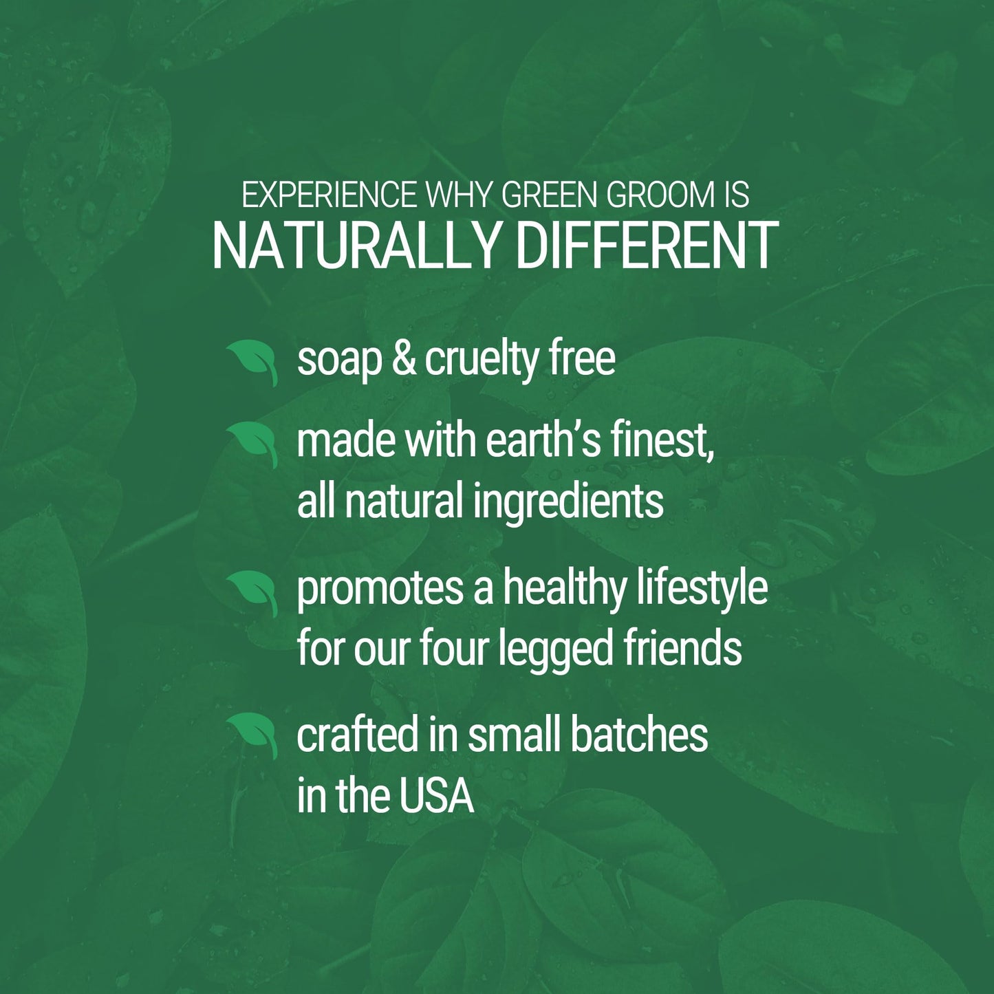 Green Groom Argan Oil Dog Shampoo, 1 Gallon - Vitamin E and Antioxidant Rich, Restores Shine, Moisturizing, Natural Ingredients, Helps Relieve Dry Itchy Skin, Adds Moisture to The Coat