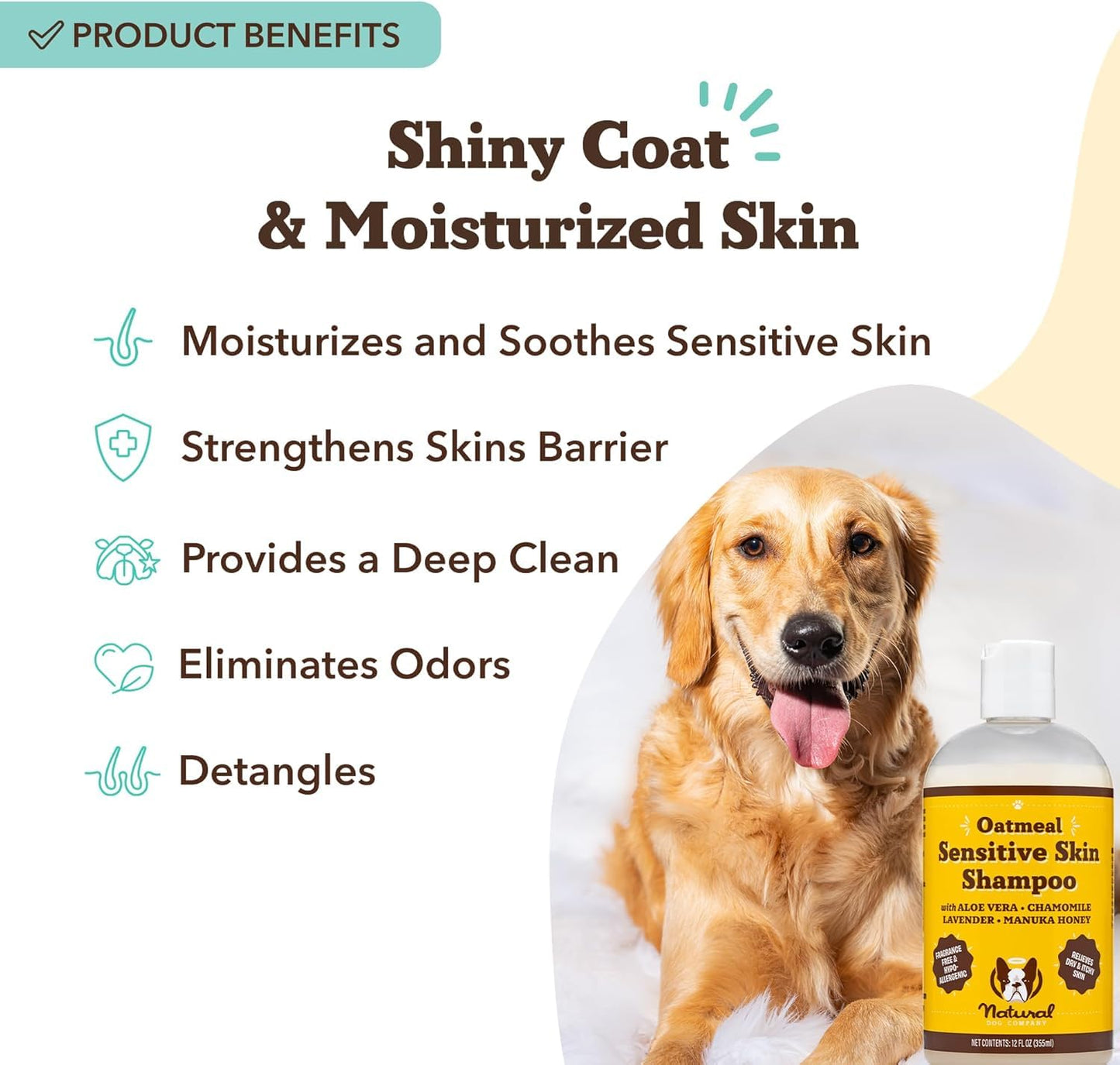 Natural Dog Company Oatmeal Dog Shampoo – Anti-Itch Shampoo for Dogs with Sensitive Skin, Aloe & Oatmeal Formula for Itchy Skin & Dandruff Relief, Safe for Puppies, 12 oz