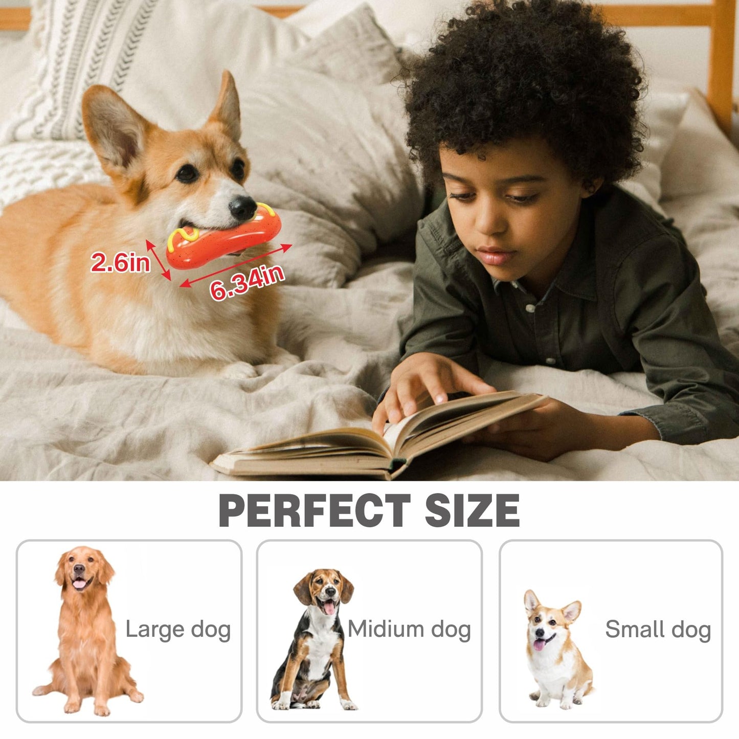 LiuMelinda Dog Chew Toys for Aggressive-Chewers - Indestructible Dog Toy for Aggressive Chewer，Tough Chew Toys for Dogs （Rubber）