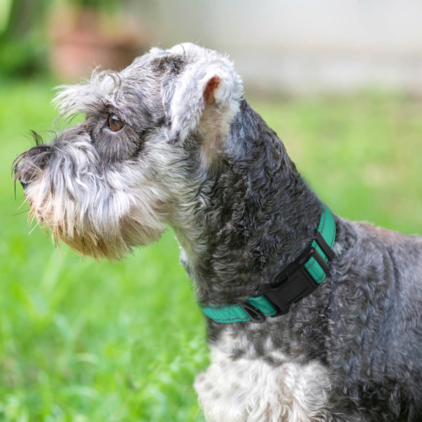 Joytale Reflective Dog Collar,Soft Neoprene Padded Breathable Nylon Pet Collar Adjustable for Medium Dogs,Teal,M
