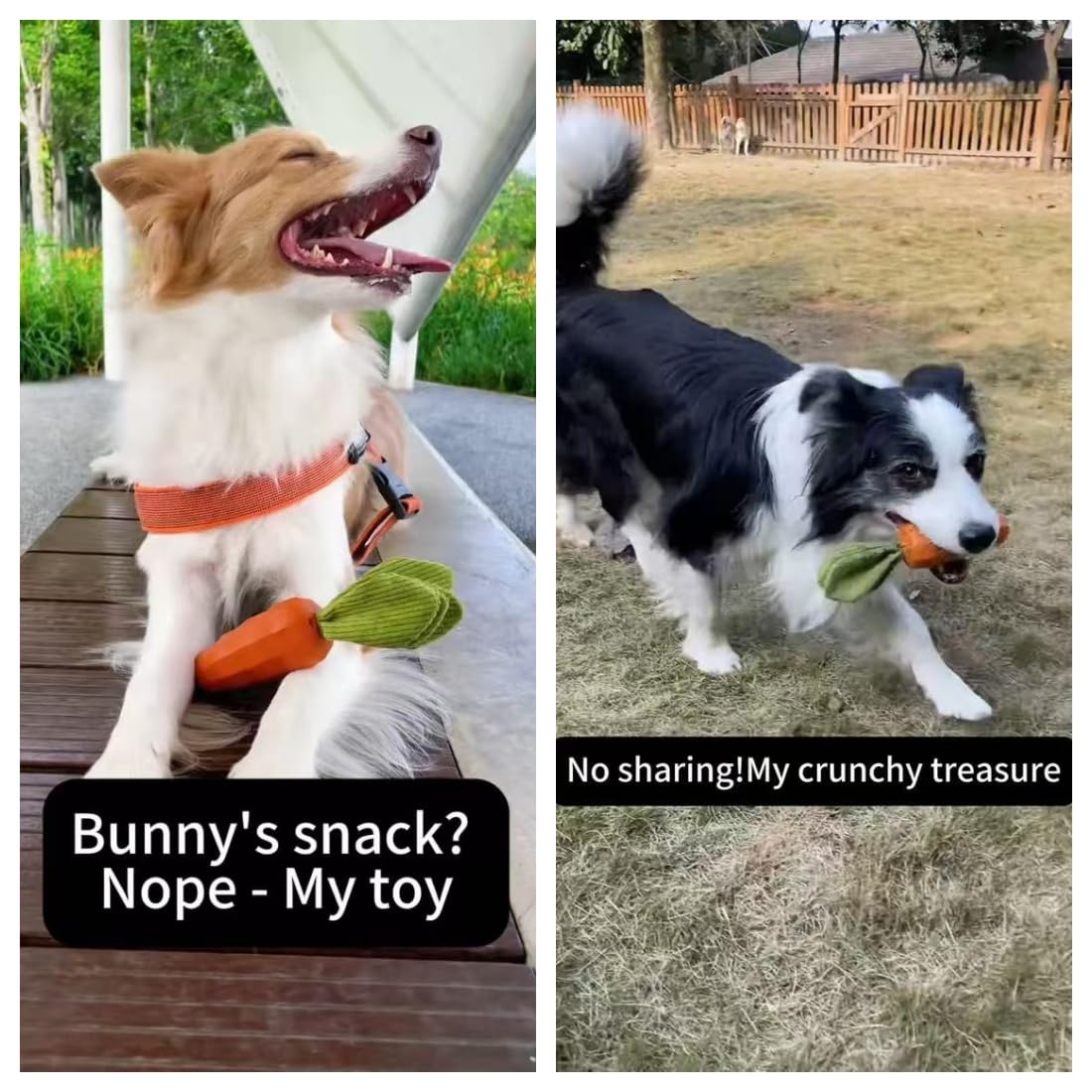 MewaJump Dog Squeaky Chew Toys for Aggressive Chewers, Rubber Carrot Dog Toys for Training and Cleaning, Durable Interactive Tough Dog Toy for Puppy Medium Dogs