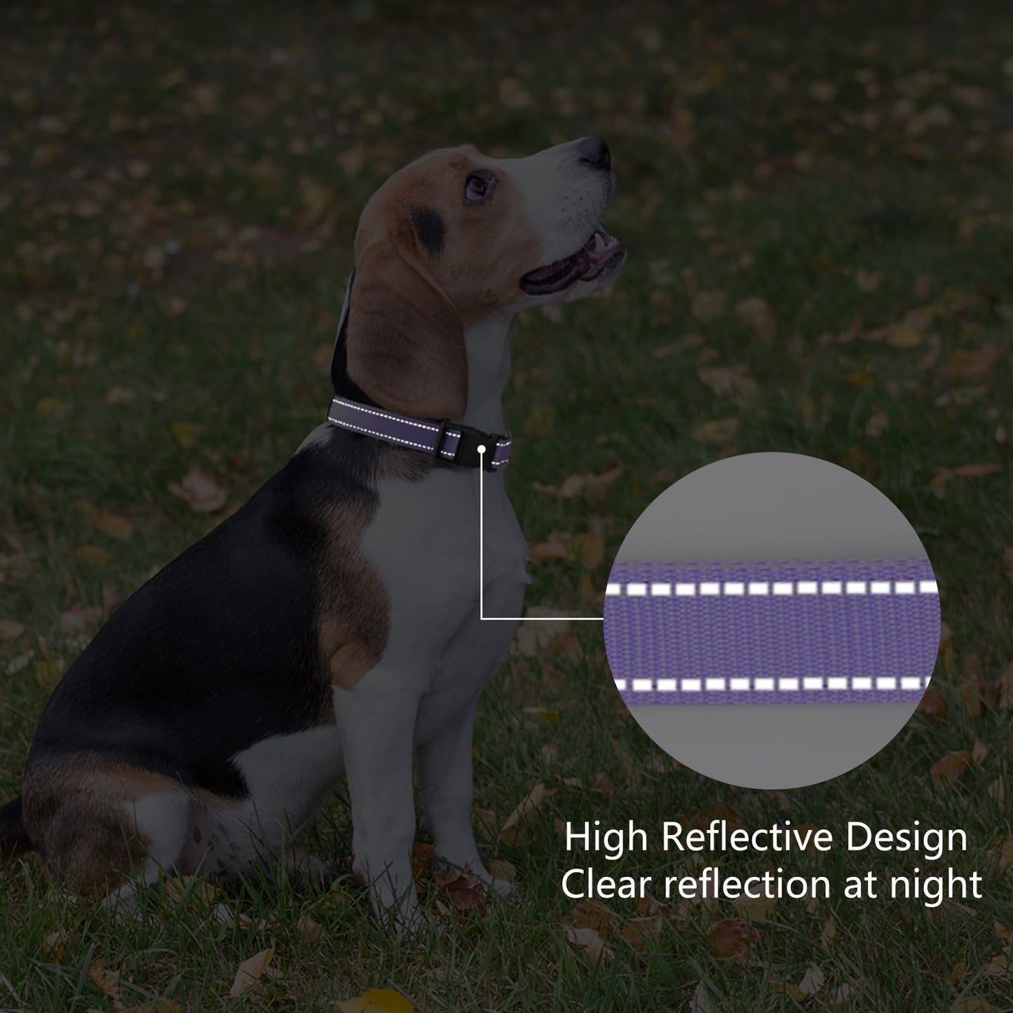 PenSeepet Reflective Dog Collar Padded with Soft Neoprene Breathable Quick Release Basic Dog Collars for Large Dogs Purple Girl