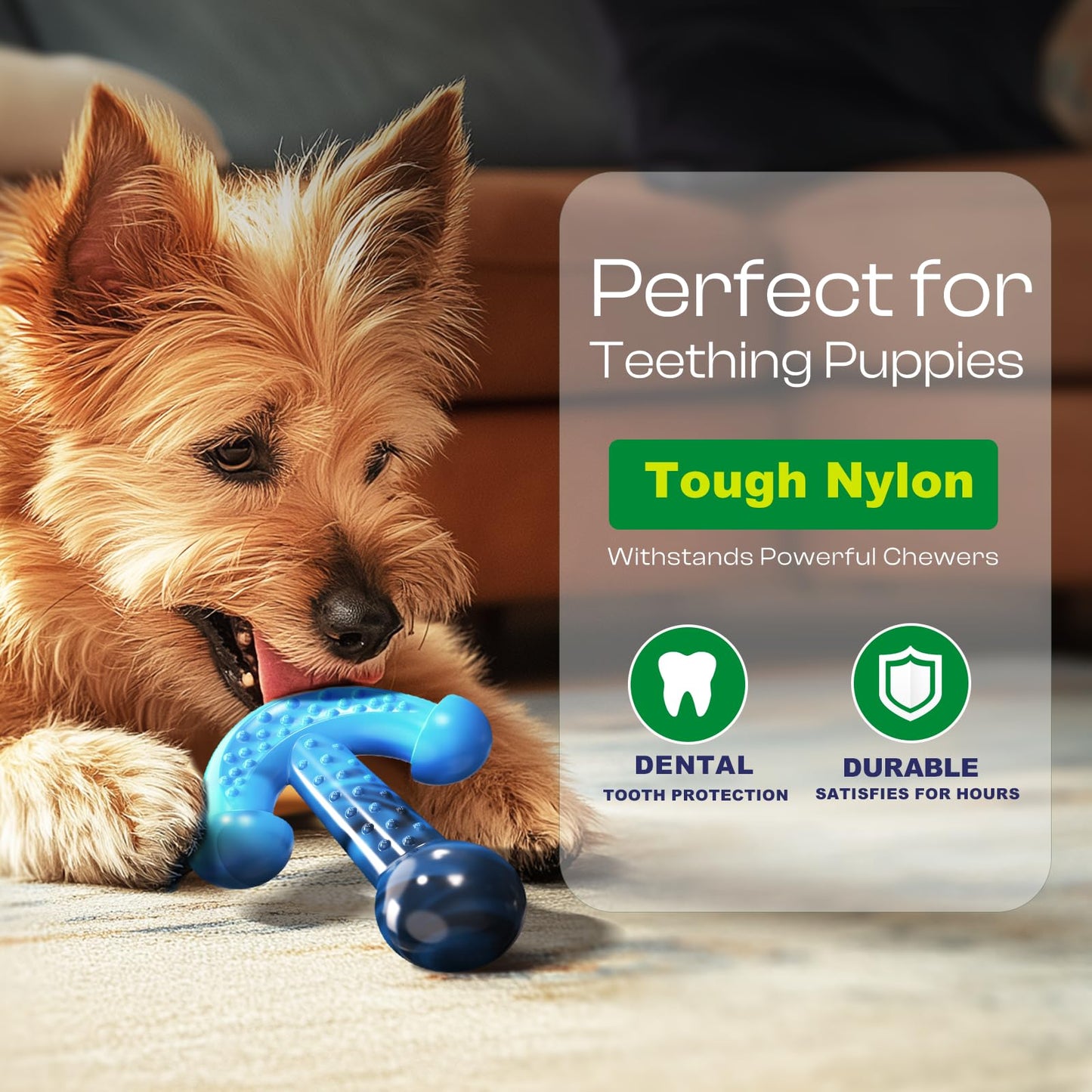 Indestructible Dog Chew Toy for Aggressive Chewers – Durable Nylon Dental Toy for Puppy Teething and Small Breeds, Anchor Shape Chew with Bacon Flavor