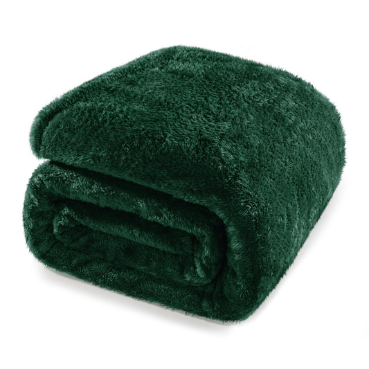 Whale Flotilla Emerald Green Queen Size Blanket for Bed, 300GSM Soft Warm Fleece Fabric, Decorative Lightweight Plush Fluffy Blankets for All Season, 90x90 Inch