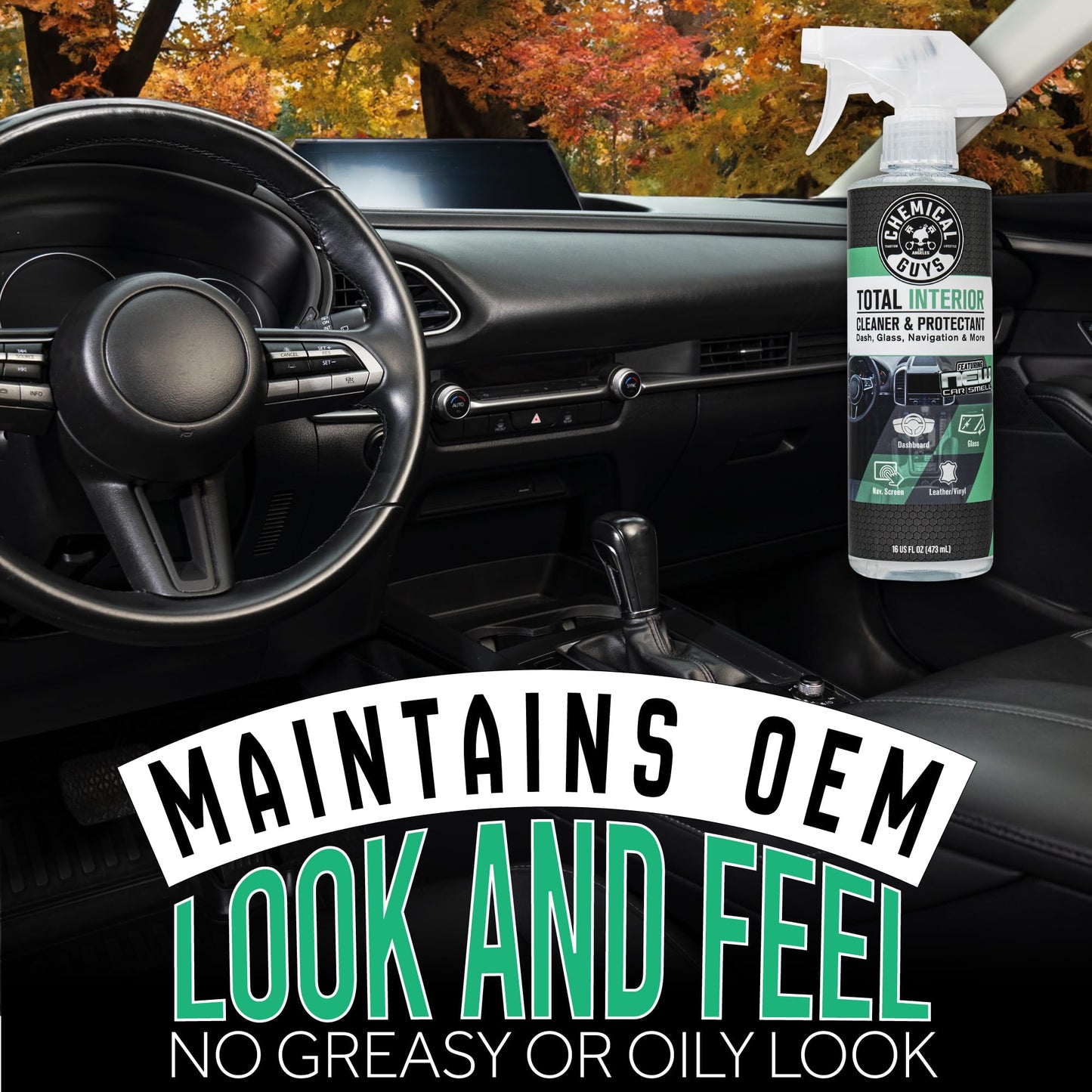 Chemical Guys SPI23416 Total Interior Cleaner and Protectant, New Car Smell, (Safe for Cars, Trucks, SUVs, Jeeps, RVs & More) 16 fl oz