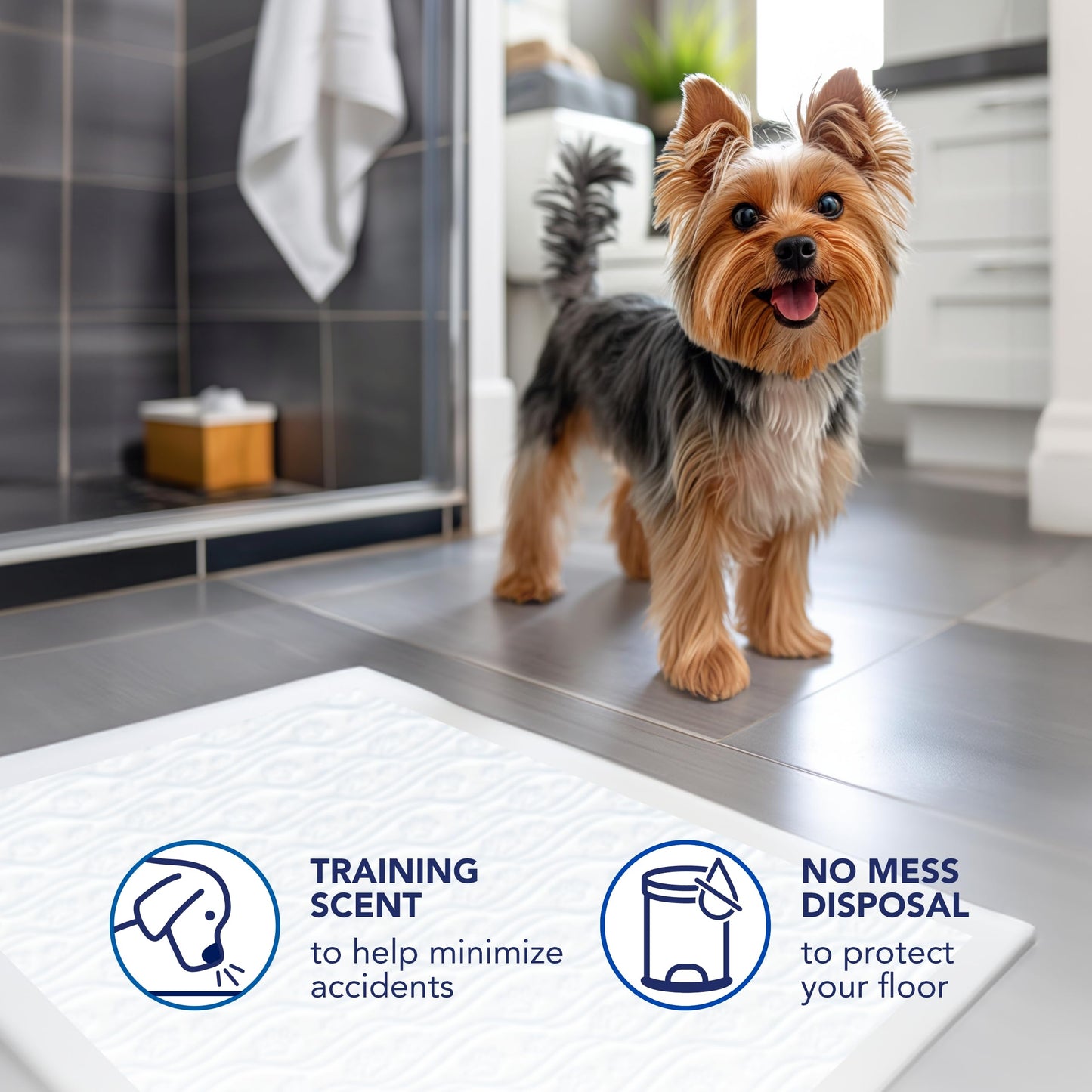 Scott Pet Guard Dog Pads - Large Dog Training Pee Pads, 12 Hour Absorbent Odor Control - 22" x 22" - 50 Pack