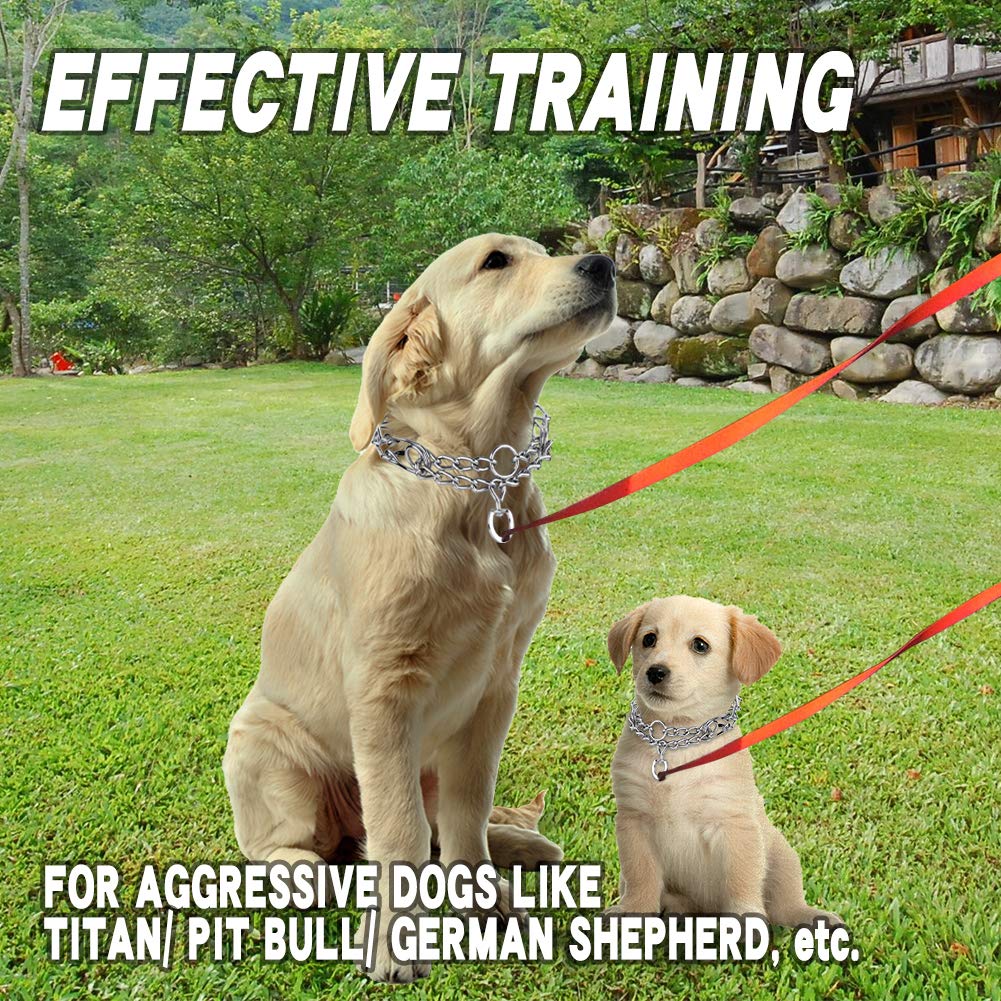Aheasoun Prong Collars for Dogs, No Pull Dog Collar, Dog Training Collar for Large Medium Small Dogs, Stainless Steel Adjustable with Comfort Rubber Tips (Large, 4.0mm, 23.6-Inch)