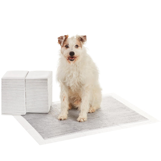 Amazon Basics Carbon Odor-Control Dog and Puppy Pee Pads, 5-Layer Leak-Proof Super Absorbent, Quick-Dry Surface, Potty Training, X-Large (28x34"), 50 Count, Gray