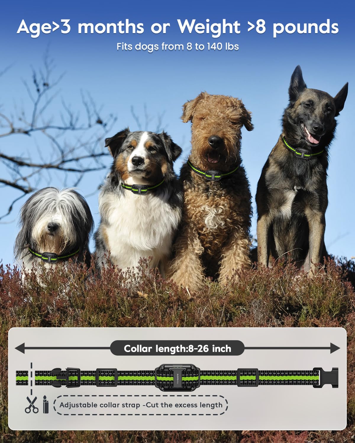 Dog Training Collar with Remote, Electronic Dog Shock Collar with Beep, Vibration, Shock, Light and Keypad Lock Mode, Electric Training Collar Set for Small Medium Large Dogs (Black Green)