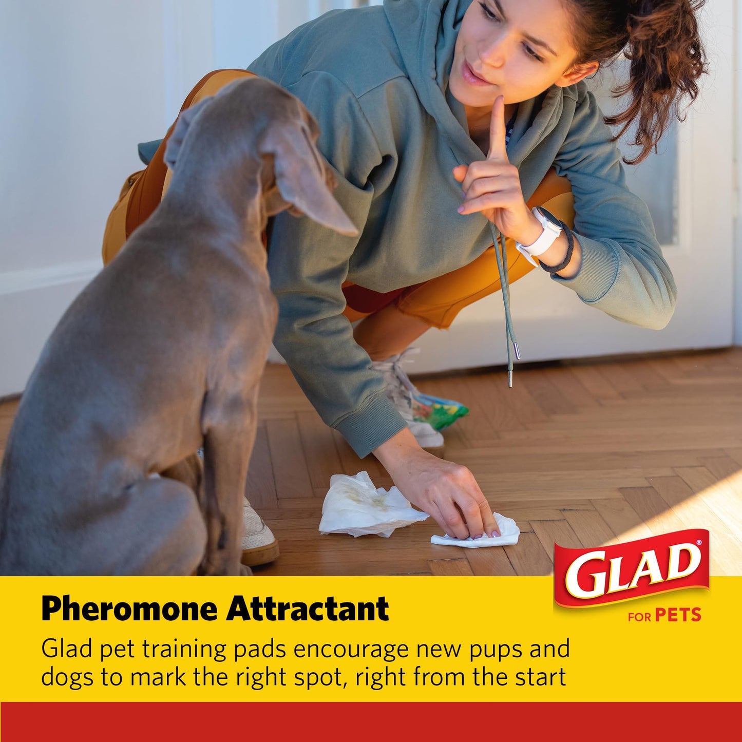 Glad for Pets XL Heavy Duty Activated Carbon Puppy Essentials Training Pads - Zero Odor, Ultra Absorbent Pads for Puppy Potty Training, Indoor Dog Potty, Pee Pads for Dogs, 24" x 24", 30 Count