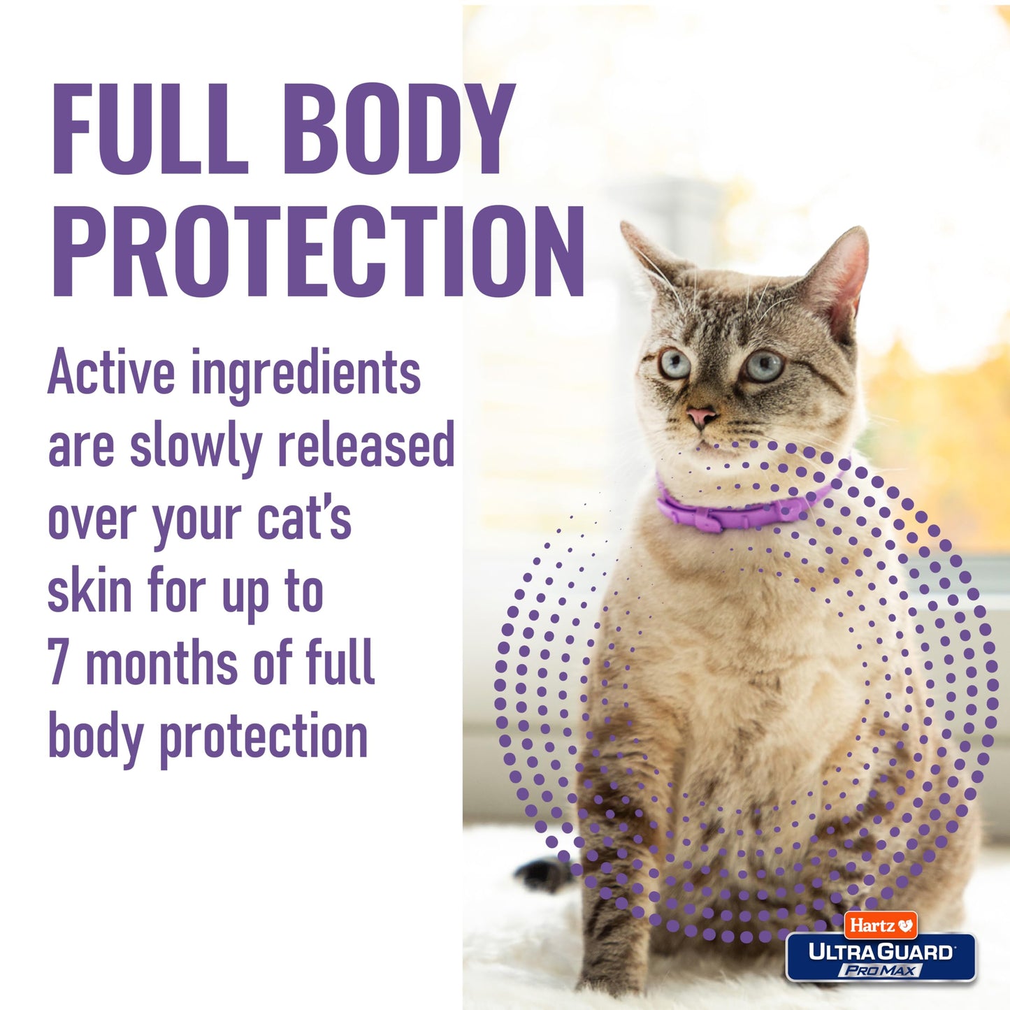 Hartz UltraGuard ProMax Flea & Tick Collar for Cats I 14 Months Protection I Soft & Comfortable | Flea & Tick Prevention I 2 Pack