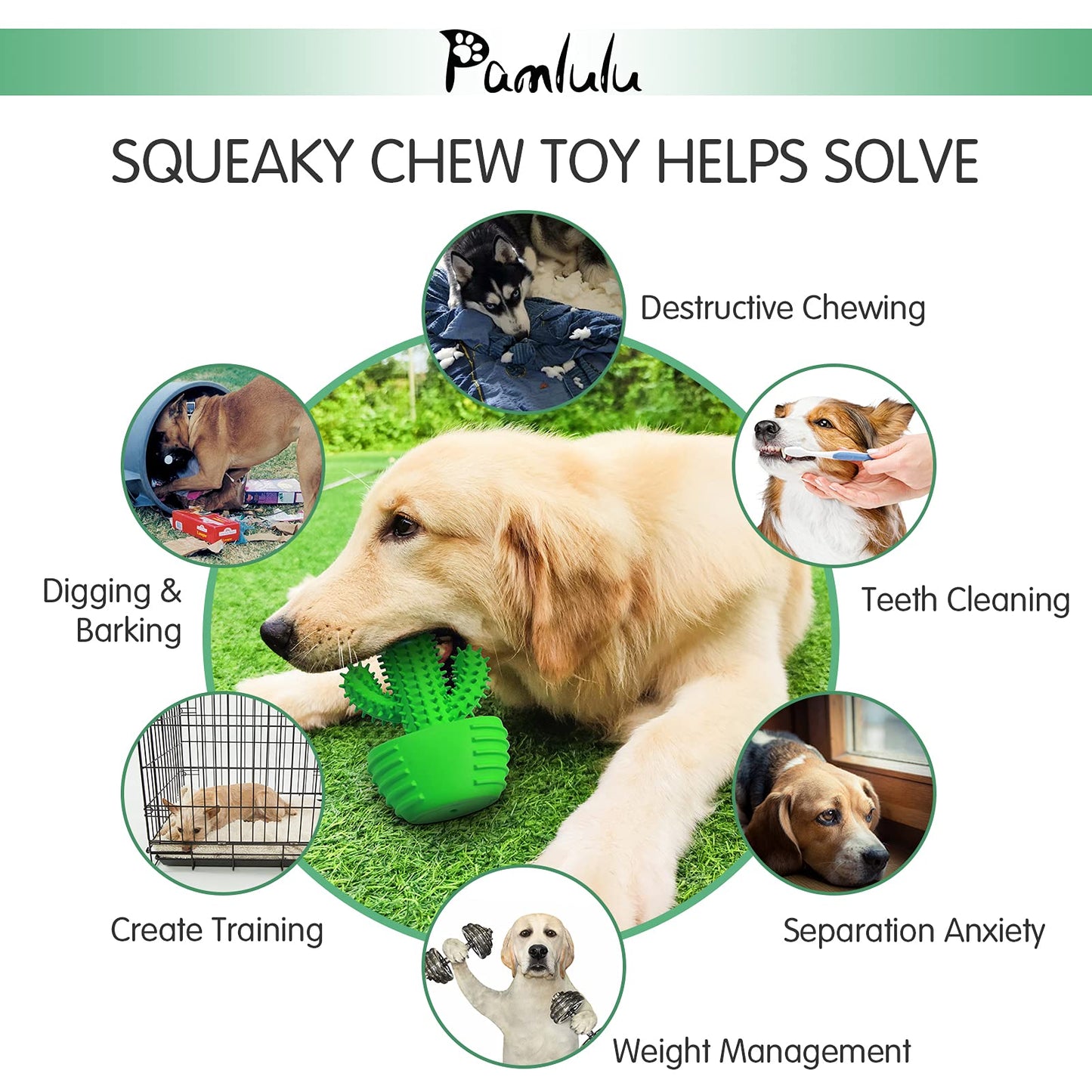 Pamlulu Dog Chew Toys Dog Toothbrush Stick Teeth Cleaning Brush Dental for Medium Large Dog, Puppy Christmas Easter Birthday Gifts, Outdoor Squeaky Toys for Aggressive Chewers Interactive Tough Toys