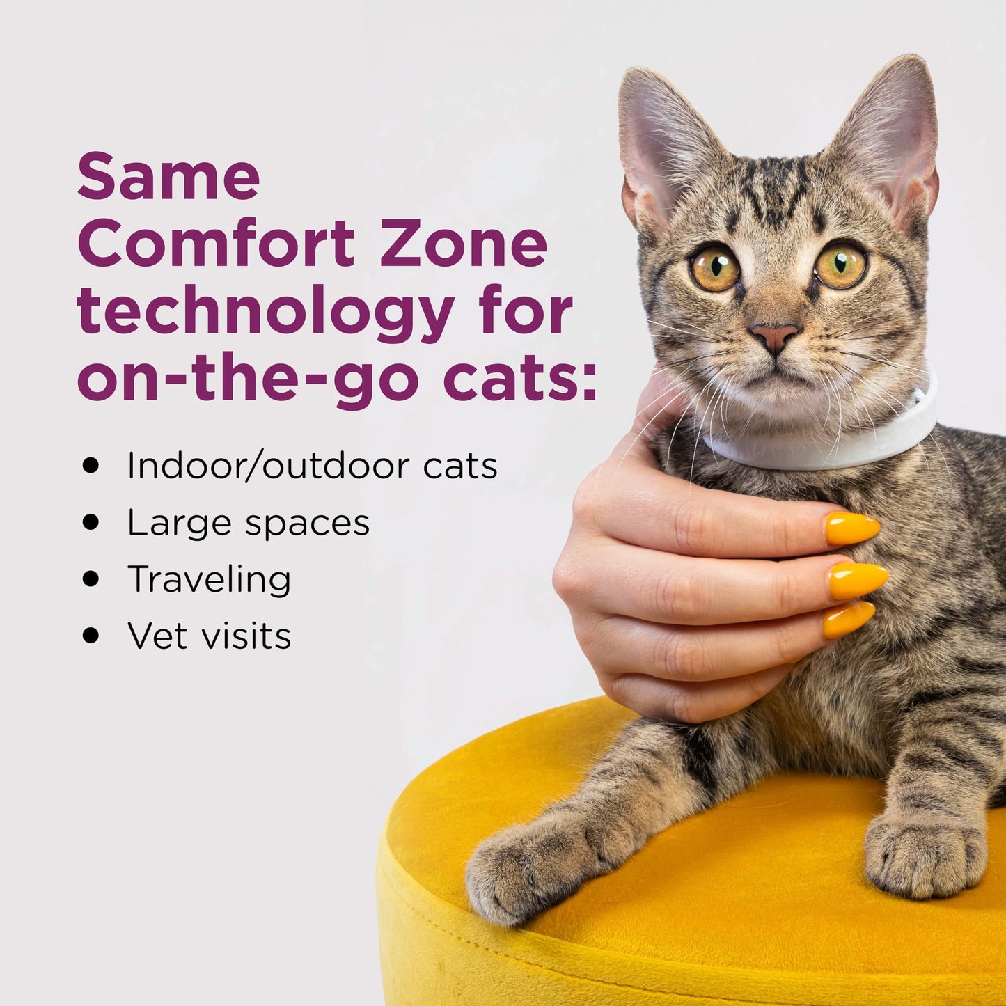 Comfort Zone Cat Calming Collar Savings Pack: 2 30-Day Calming Collars for 60 Days of Calm; Cat Pheromones Help Anxiety, Reduce Stress, Urine Marking, Scratching; Indoor or Outdoor Cats; Long-Lasting