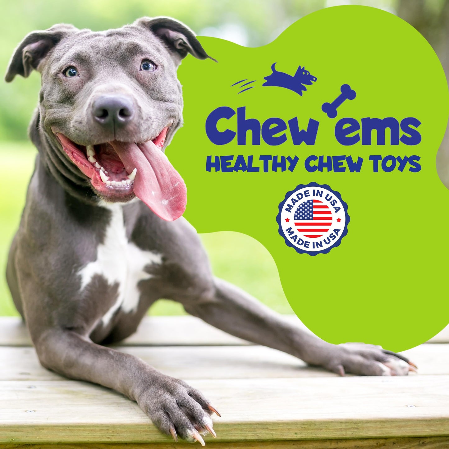 Chew'ems Durable Chew Toys for Small Dogs | Long-Lasting & Flavorful Chew Dog Toys, Small Dog Breeds | Chicken-Flavored