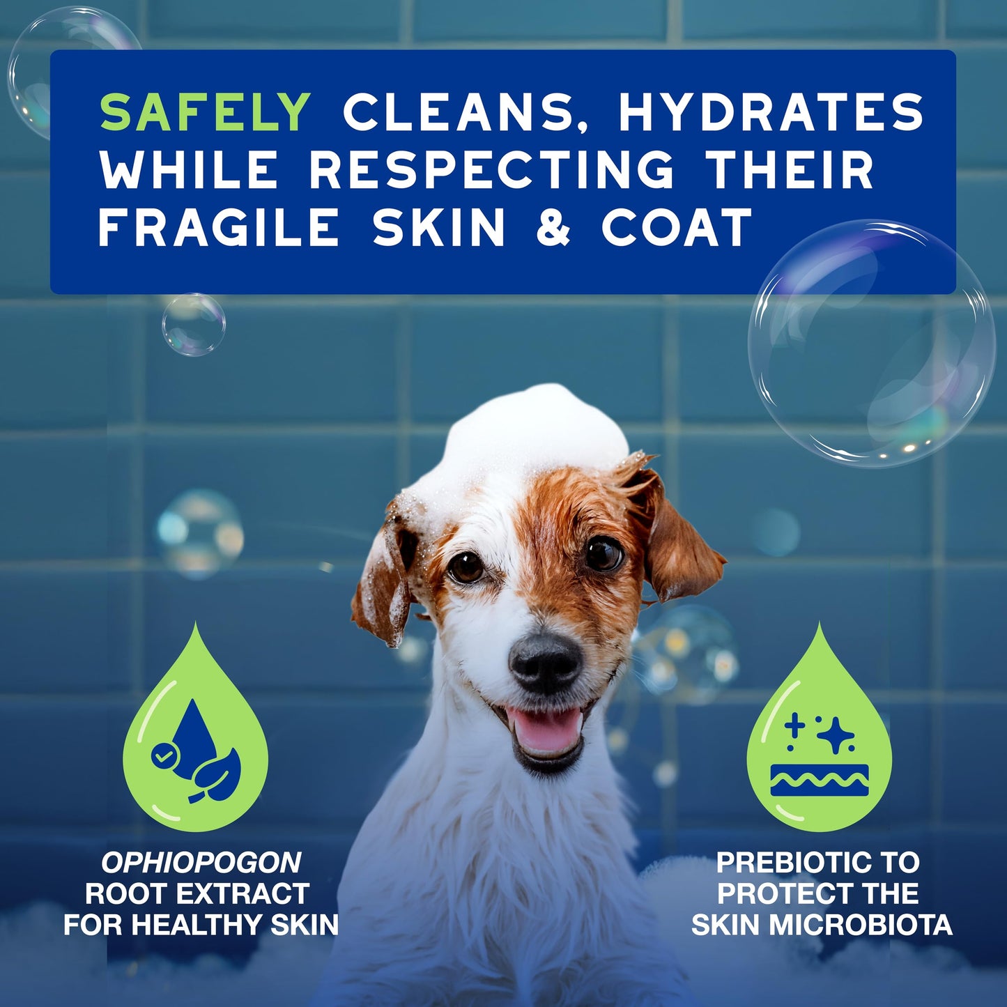 DOUXO® Skin & Coat SPA - Ultra-Safe Puppy Shampoo, 16 fl oz, Skin-Friendly Formula Cleans and Hydrates, Leaves Coat Soft and Plush