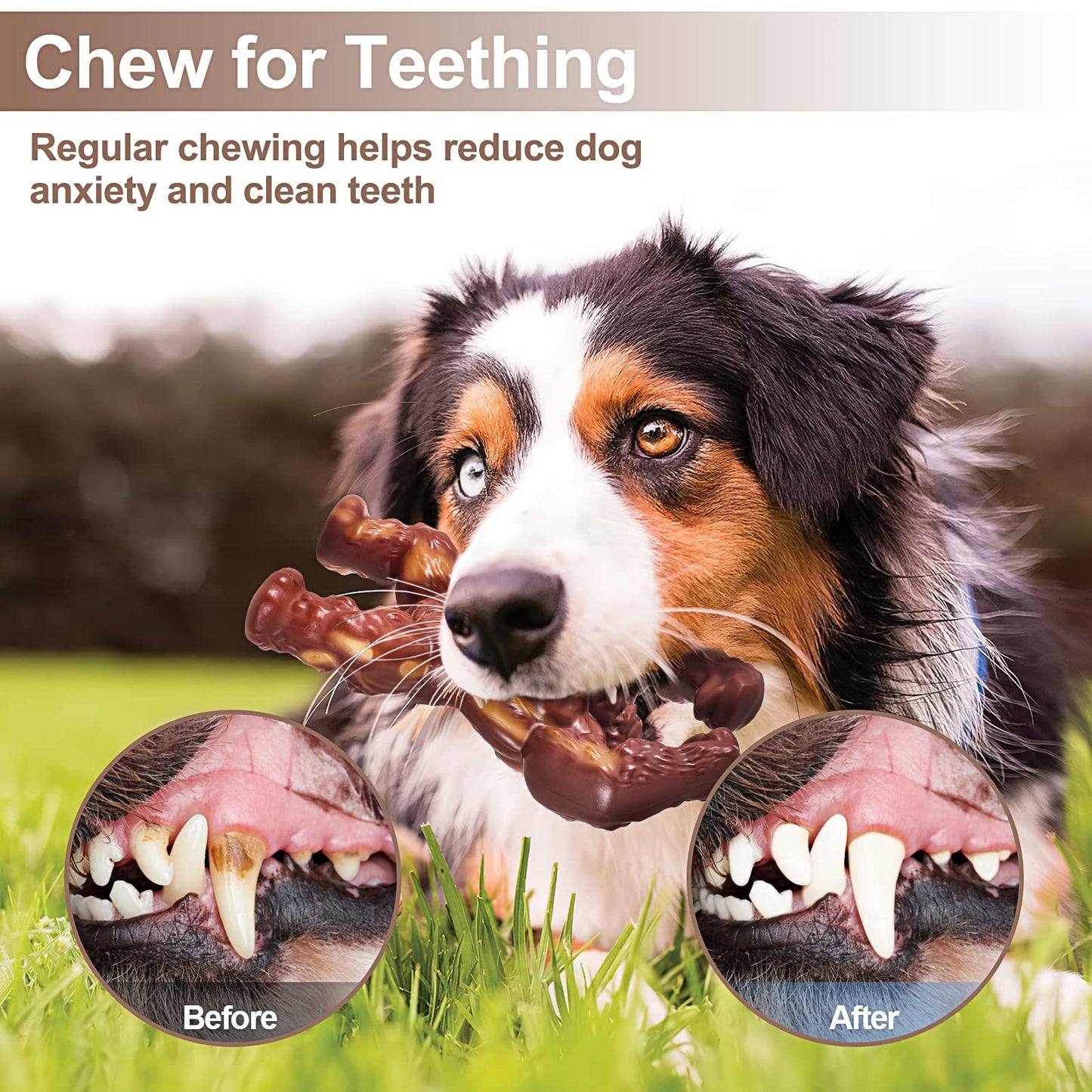 PETSTA Indestructible Dog Toys for Aggressive Chewers, Extreme Tough Toys for Large Dogs, Real Beef Flavored, Dog Bone for Medium/Large Dogs Breed, Gifts for Dogs