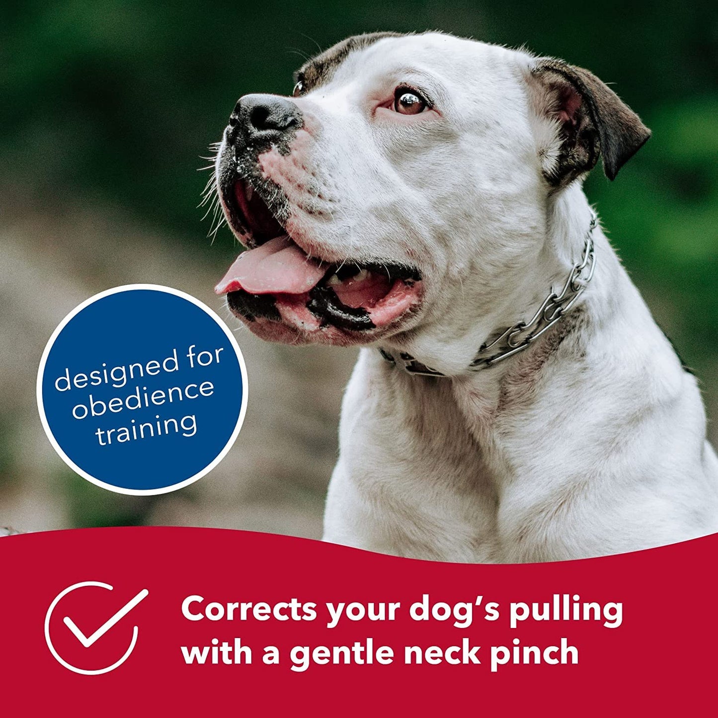 Herm SPRENGER Ultra-Plus Prong Dog Training Collar, 2.25 mm x 13" Neck Size, 16" Chain Length, Steel Chrome Plated Dog Prong Collar, Pinch Collar for Dogs, Dog Correction Collar